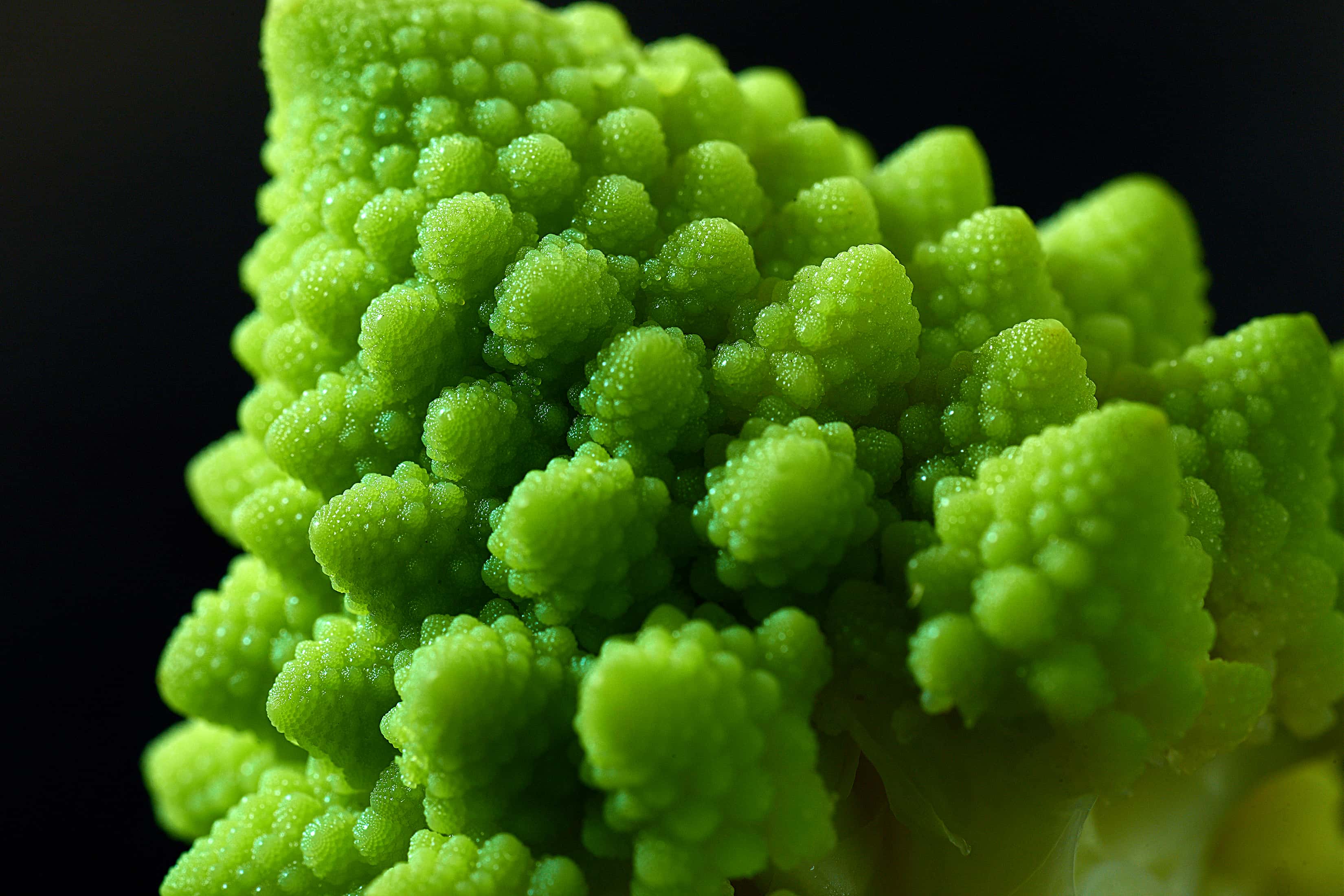 Adrien Pilet – Photographie