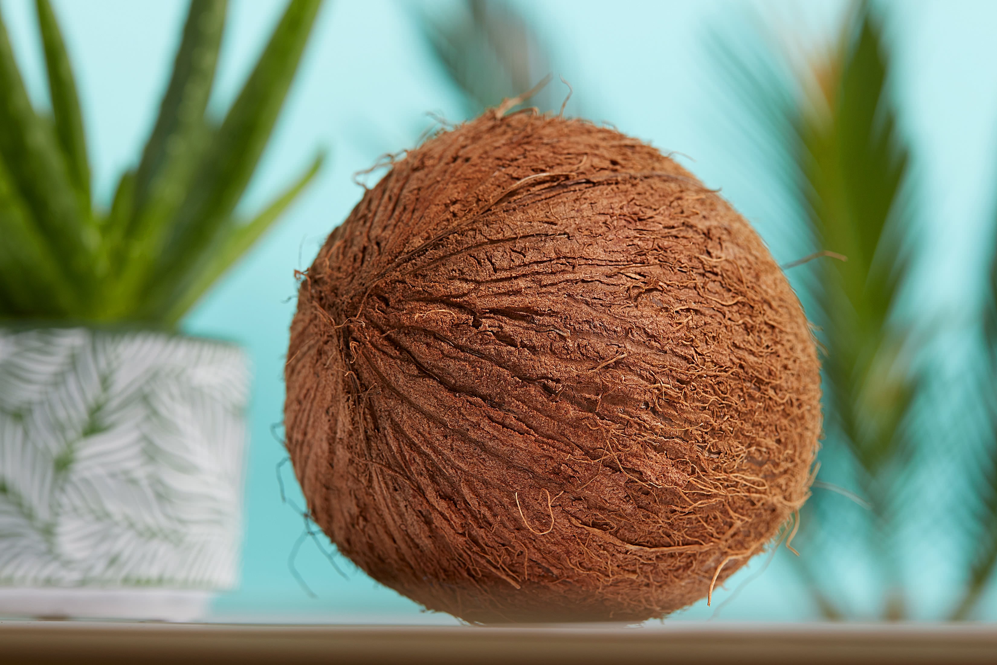 Adrien Pilet – Photographie